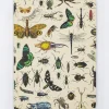 Cognitive Surplus Insect Hardcover Notebook | Insect Print* The Hypothesis | Entomology