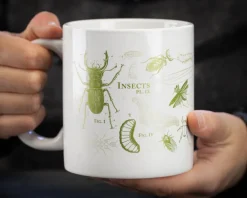 Cognitive Surplus Insect Mug 20 oz | Science Mug* Mugs | Entomology