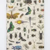 Cognitive Surplus Insect Softcover Notebook - Dot Grid* The Experiment | Entomology