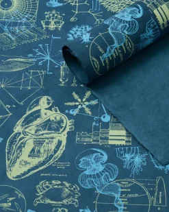 Cognitive Surplus Interdisciplinary Science Wrapping Paper* Wrapping Paper | Physics