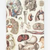 Cognitive Surplus Internal Medicine Hardcover Notebook | * The Hypothesis | Medicine