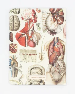 Cognitive Surplus Internal Medicine Hardcover Notebook | * The Hypothesis | Medicine