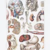 Cognitive Surplus Internal Medicine Softcover Notebook - Lined | * The Experiment | Medicine