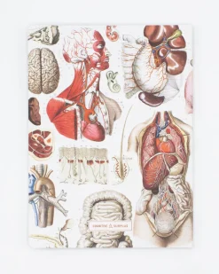 Cognitive Surplus Internal Medicine Softcover Notebook - Lined | * The Experiment | Medicine