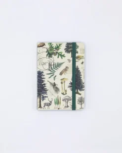 Cognitive Surplus Into the Forest Observation Softcover* The Observation | Botany