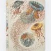 Cognitive Surplus Jellyfish Print Notebook - Hardcover | Biology Gifts* The Hypothesis | Marine Biology