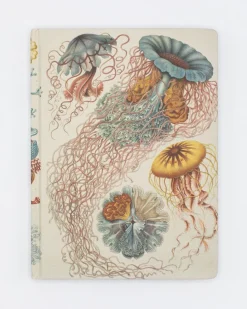 Cognitive Surplus Jellyfish Print Notebook - Hardcover | Biology Gifts* The Hypothesis | Marine Biology