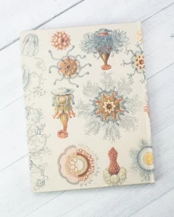 Cognitive Surplus Jellyfish Print Notebook - Hardcover | Biology Gifts* The Hypothesis | Marine Biology
