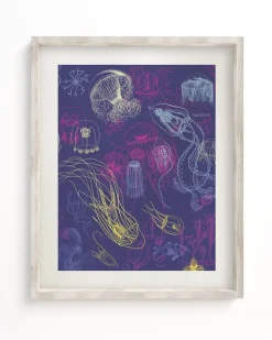 Cognitive Surplus Jellyfish Scientific Illustration Museum Print* Wall Art | Marine Biology
