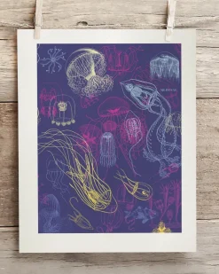 Cognitive Surplus Jellyfish Scientific Illustration Museum Print* Wall Art | Marine Biology