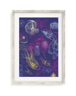 Cognitive Surplus Jellyfish Scientific Illustration Museum Print* Wall Art | Marine Biology