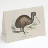 Cognitive Surplus Kiwi Bird Greeting Card - Ornithology Stationery | * Greeting Cards | Ornithology