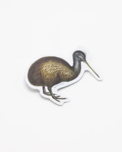 Cognitive Surplus Kiwi Bird Sticker* Stickers | Ornithology