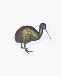 Cognitive Surplus Kiwi Bird Sticker* Stickers | Ornithology