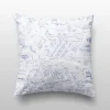Cognitive Surplus Lab Notes Pillow Cover* Pillow Covers | Chemistry
