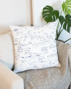 Cognitive Surplus Lab Notes Pillow Cover* Pillow Covers | Chemistry