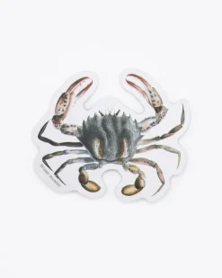 Cognitive Surplus Lady Crab Sticker* Stickers | Marine Biology