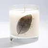 Cognitive Surplus Leaf Diagram Cocktail Candle* Candles | Botany