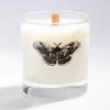 Cognitive Surplus Like a Moth to the Flame Cocktail Candle* Candles | Entomology