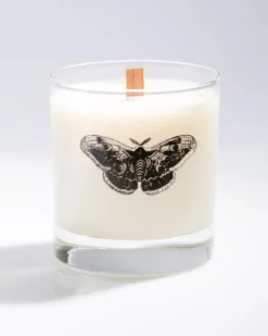 Cognitive Surplus Like a Moth to the Flame Cocktail Candle* Candles | Entomology