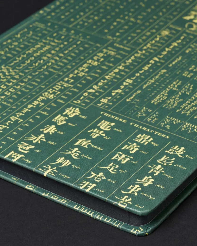 Cognitive Surplus Linguistics Dark Matter Notebook* Black Paper Notebooks | The Dark Matter
