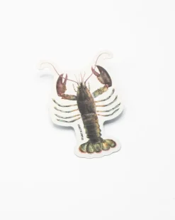 Cognitive Surplus Lobster Sticker* Stickers | Marine Biology