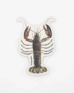 Cognitive Surplus Lobster Sticker* Stickers | Marine Biology