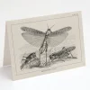 Cognitive Surplus Locust Greeting Card - Entomology Stationery | * Greeting Cards | Biology