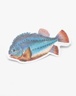 Cognitive Surplus Lump Fish Sticker* Stickers | Marine Biology