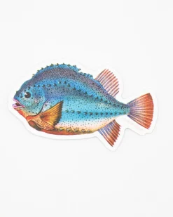 Cognitive Surplus Lump Fish Sticker* Stickers | Marine Biology