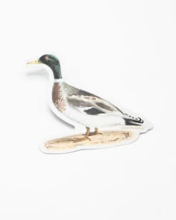 Cognitive Surplus Mallard Sticker* Stickers | Ornithology