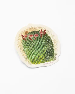 Cognitive Surplus Mammillaria Cactus Sticker* Stickers | Botany