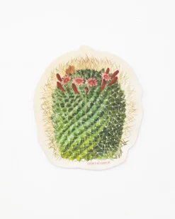 Cognitive Surplus Mammillaria Cactus Sticker* Stickers | Botany