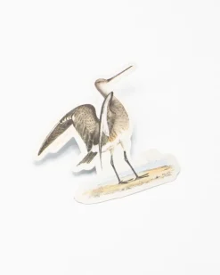 Cognitive Surplus Marbled Godwit Sticker* Stickers | Ornithology