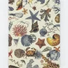 Cognitive Surplus Marine Biology Notebook - Hardcover | Dot Grid Journal* The Hypothesis | Marine Biology
