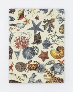 Cognitive Surplus Marine Biology Notebook - Hardcover | Dot Grid Journal* The Hypothesis | Marine Biology