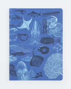 Cognitive Surplus Marine Biology Notebook - Softcover | Recycled Notebook* The Experiment | Marine Biology