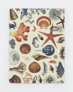 Cognitive Surplus Marine Biology Notebook - Hardcover | Dot Grid Journal* The Hypothesis | Marine Biology