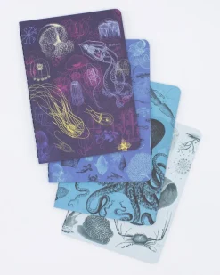 Cognitive Surplus Marine Biology Pocket Notebooks Set of 4 | Marine Biology* The Research | Marine Biology