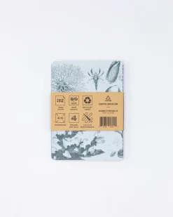 Cognitive Surplus Marine Biology Pocket Notebooks Set of 4 | Marine Biology* The Research | Marine Biology