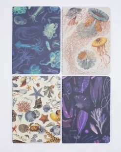 Cognitive Surplus Marine Biology Pocket Notebooks Set of 4 | Marine Biology* The Research | Marine Biology