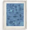 Cognitive Surplus Marine Biology Scientific Illustration Museum Print* Wall Art | Marine Biology