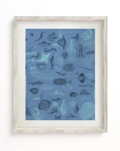 Cognitive Surplus Marine Biology Scientific Illustration Museum Print* Wall Art | Marine Biology