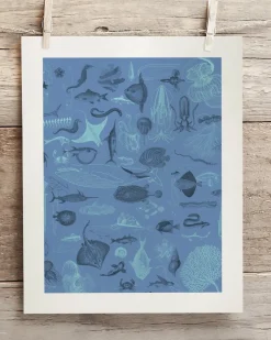 Cognitive Surplus Marine Biology Scientific Illustration Museum Print* Wall Art | Marine Biology