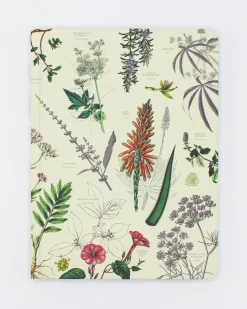 Cognitive Surplus Medicinal Botany Hardcover Notebook - Lined/Grid* The Hypothesis | Pharmacy