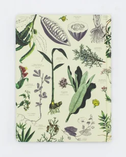 Cognitive Surplus Medicinal Botany Hardcover Notebook - Lined/Grid* The Hypothesis | Pharmacy