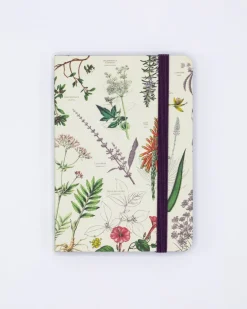 Cognitive Surplus Medicinal Botany Observation Softcover* The Observation | Medicine