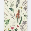 Cognitive Surplus Medicinal Botany Softcover Notebook - Dot Grid* The Experiment | Pharmacy