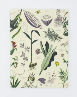 Cognitive Surplus Medicinal Botany Softcover Notebook - Dot Grid* The Experiment | Pharmacy
