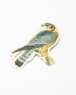 Cognitive Surplus Merlin Falcon Sticker* Stickers | Ornithology